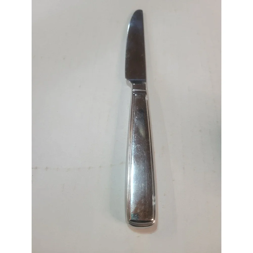 Reed & Barton Northland Stainless Steel Dinner‎ Knife 18/10 Solid Handle Silver